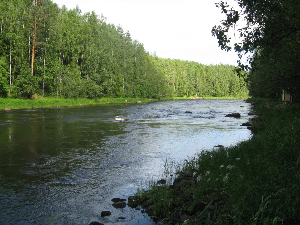 Река Шуя